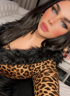 Shams - Transsexual escort in Cairo Photo 10 of 12