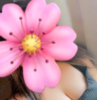 Shams - escort in Dubai
