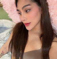 Shamsy - Acompañantes transexual in Al Ain