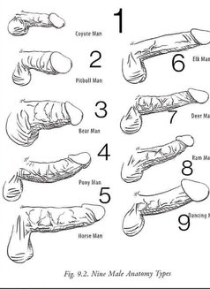 Shan Fasim - Masajista in Chennai Photo 9 of 9