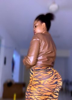 Shana new arrival for wild sex - escort in Kuala Lumpur Photo 2 of 4