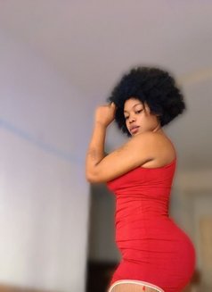Shana new arrival for wild sex - escort in Kuala Lumpur Photo 4 of 4