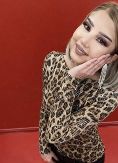 Shana - escort in Pattaya Photo 3 of 19