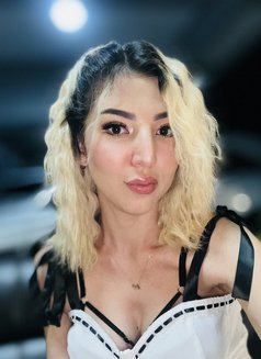 Shana - escort in Pattaya Photo 10 of 19