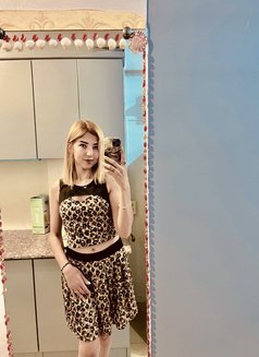 Shana - escort in Pattaya Photo 17 of 19