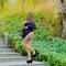 Shanaya - escort in Gurgaon Photo 3 of 12