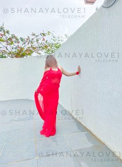 SHANAYA SEXY - escort in Chandigarh Photo 6 of 12