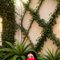 Shanaya agency independent escorts - adult performer in New Delhi Photo 1 of 8