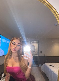 Shane in Pyeongteak - Transsexual escort in Seoul Photo 24 of 29