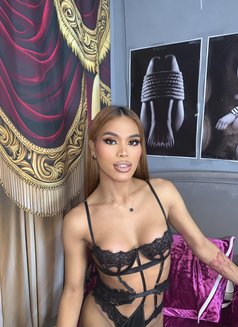 Shane in Pyeongteak - Transsexual escort in Seoul Photo 25 of 29