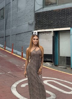 Shane in Pyeongteak - Transsexual escort in Seoul Photo 29 of 29