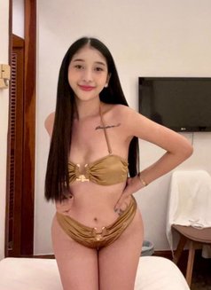 Shane lee - escort in Boracay Photo 12 of 12