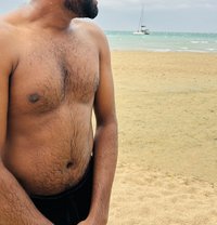 Shane - Male escort in Colombo