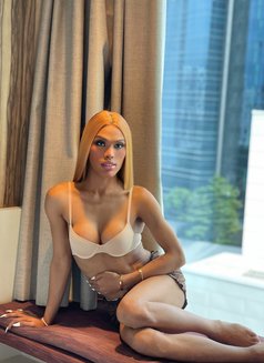 Shane w/ poppers - Transsexual escort in Singapore Photo 24 of 27