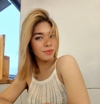 Shanefritz - Acompañantes transexual in Manila