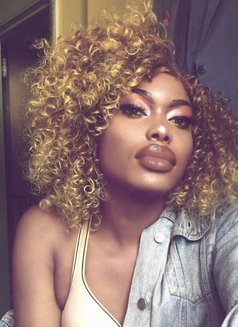 Shaney - Transsexual escort in Nairobi Photo 1 of 1