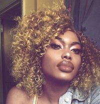 Shaney - Transsexual escort in Nairobi