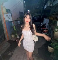 Shanfhaye - Acompañantes transexual in Manila