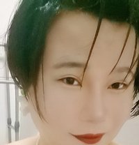 Shanghailisa - Transsexual escort in Shanghai