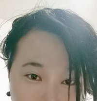 Shanghailisa - Transsexual escort in Shanghai