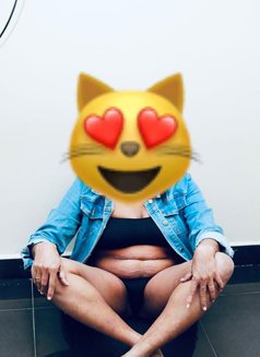 Shani - escort in Colombo Photo 1 of 3