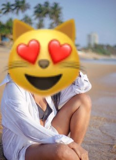 Shani - escort in Colombo Photo 3 of 3