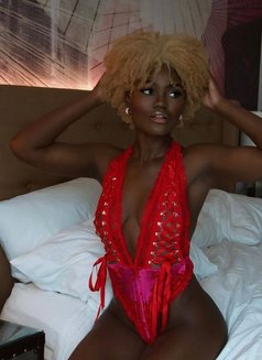 Shaniel gfe squirter - puta in Dubai Photo 8 of 10