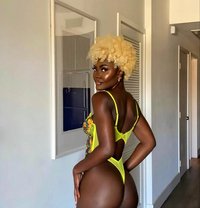 Shaniel gfe squirter - escort in Dubai