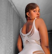 Shaniz Thumama - escort in Doha