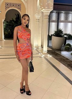 Shannon - escort in Dubai Photo 1 of 4