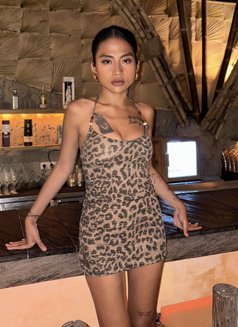 SHANON BEST GFE CANGGU - escort in Bali Photo 23 of 23