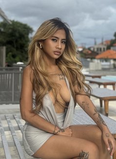 SHANON BEST BJ - escort in Bali Photo 20 of 24