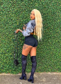 Shansea - escort in Chandigarh Photo 4 of 4