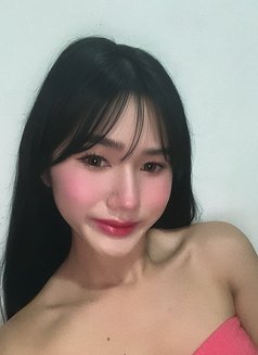 Shantal - Transsexual escort in Angeles City Photo 1 of 8