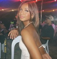 Shantal - Transsexual escort in Cebu City