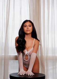 Shantal just arrived - escort in New Delhi Photo 19 of 21