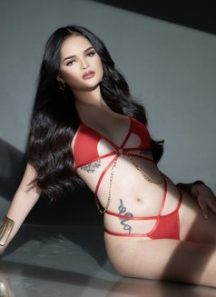 Your Hot Babe Shantal - escort in Manila Photo 11 of 29