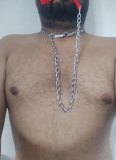 Shanul Slave - Male escort in Colombo Photo 3 of 5