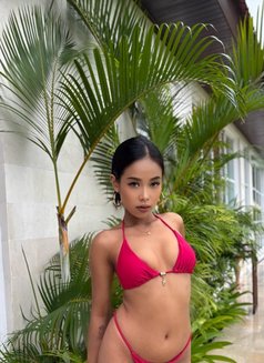 Shareen - escort in Bali Photo 22 of 25