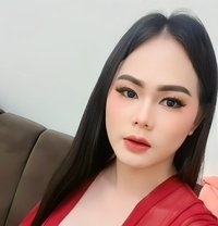 Sharifaza Ladyboy - Transsexual escort in Ajmān