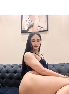 Sharifaza Ladyboy - Transsexual escort in Pattaya Photo 12 of 17