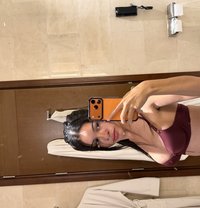 Shasha - Male escort in Dubai