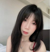 Shashala - escort in Jeddah