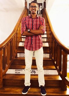 Shaun Perera - Acompañantes masculino in Colombo Photo 1 of 5