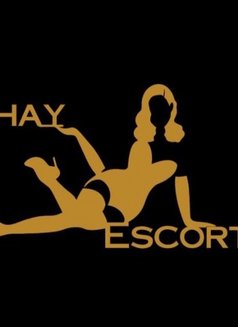 Shay Escorts Agency - escort agency in London Photo 1 of 1