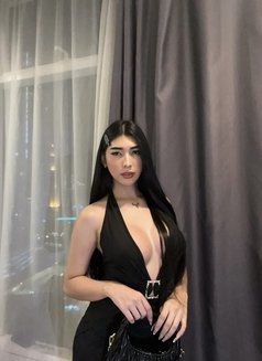 Shay your trans lots of cum - Acompañantes transexual in Kuala Lumpur Photo 18 of 18