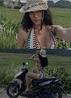Shaya Delvey - Transsexual escort in Kuala Lumpur Photo 26 of 28