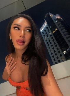 Shaya - Just Arrived! - Transsexual escort in Dubai Photo 10 of 11