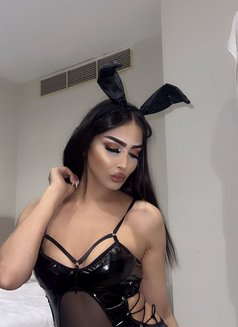 شيوم المغربية 🇲🇦 - Acompañantes transexual in Jeddah Photo 18 of 18