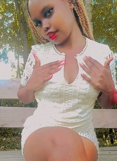 Shaz🦋 - escort in Eldoret Photo 3 of 4